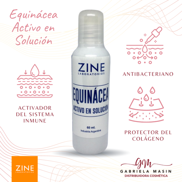 Solucion Equinácea 60 ml - ZINE