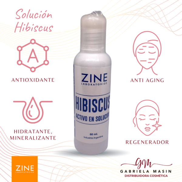 Solucion Hibiscus USO EXCLUSIVO GABINETE 60 ml - ZINE