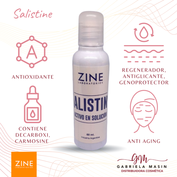 Salistine 60 ml - ZINE